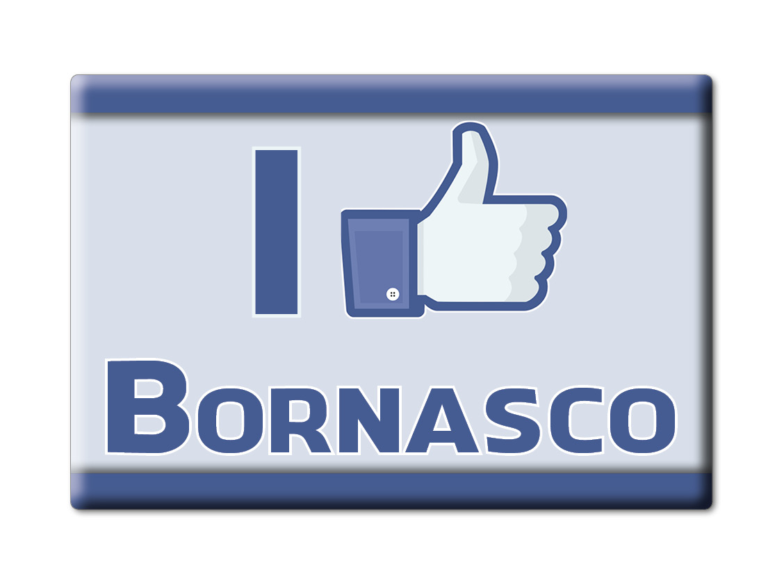 Calamita Bornasco (PV) - Lombardia Magnete Da Frigo Souvenir Italia Idea Regalo - Bild 10 von 16