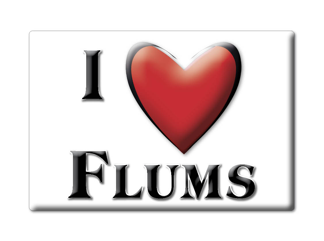 Flums, St.Gallen - Kühlschrankmagnet Schweizer Souvenir Geschenk Ich Liebe - Bild 5 von 10