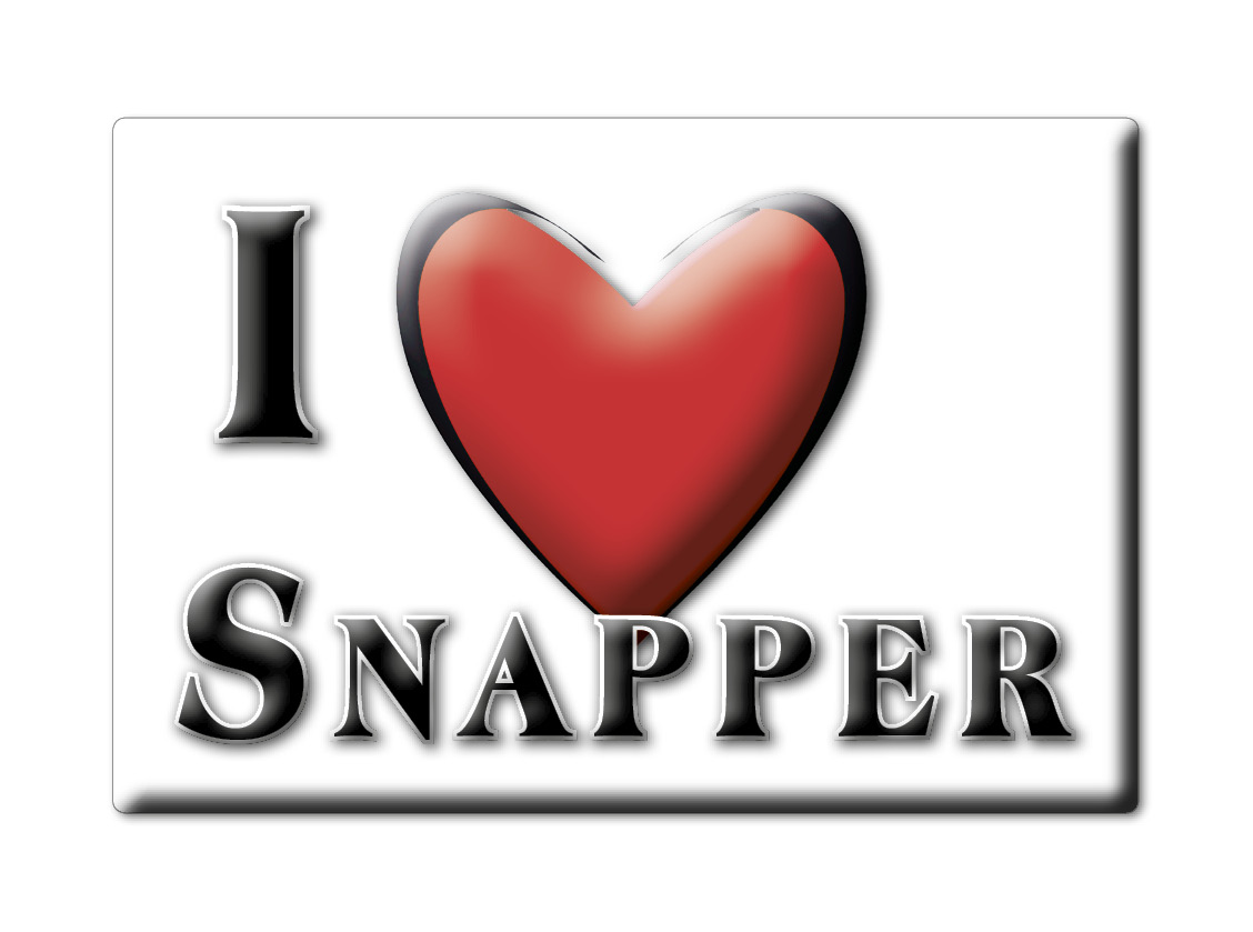 Snapper, Devon, England - Fridge Magnet I Love Souvenir Uk Gift Idea - Picture 5 of 14