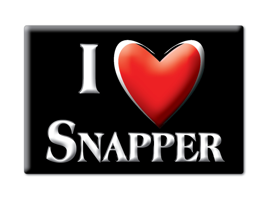 Snapper, Devon, England - Fridge Magnet I Love Souvenir Uk Gift Idea - Picture 13 of 14