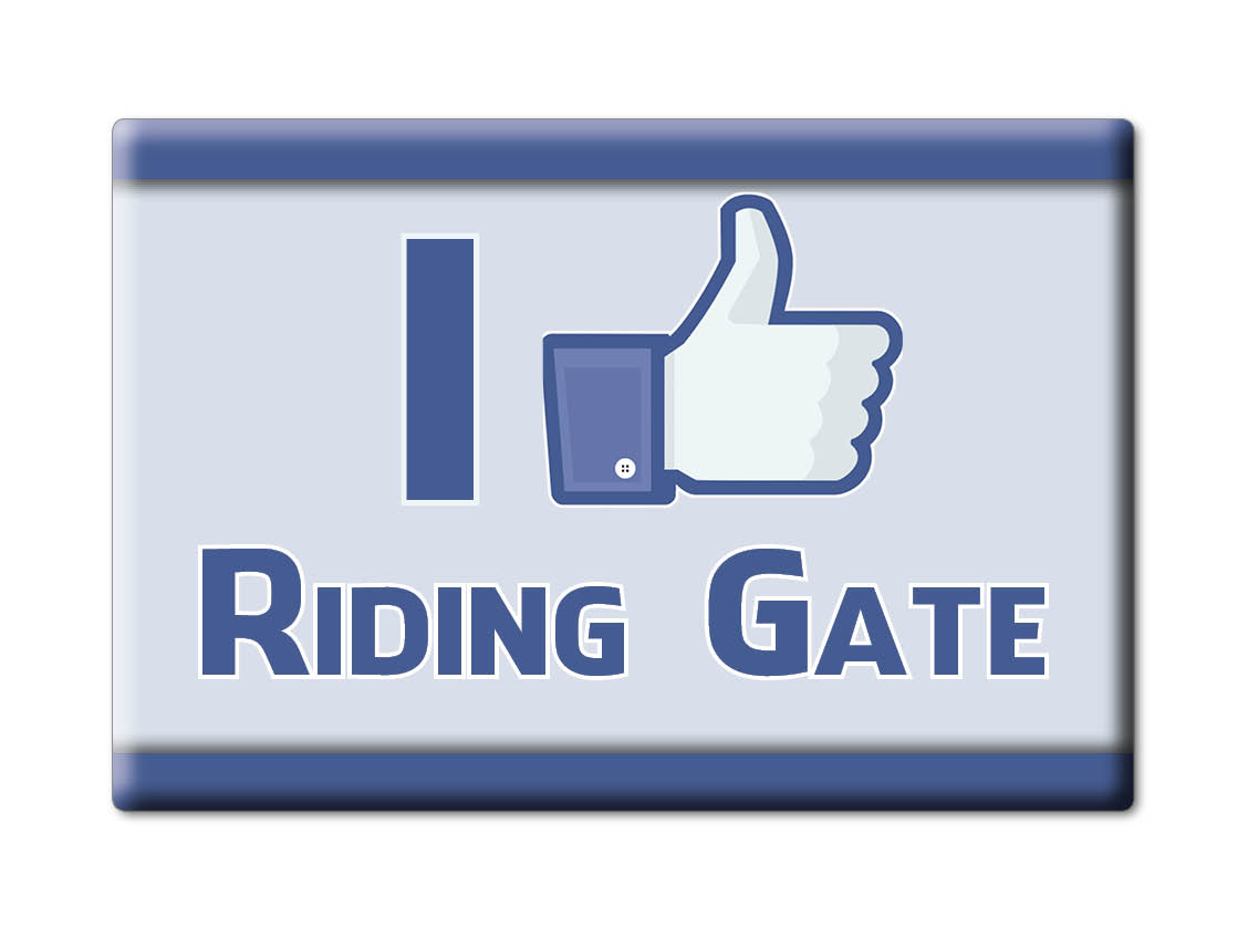 Riding Gate, Somerset, England - Kühlschrankmagnet I Love Souvenir UK Geschenkidee - Bild 12 von 14