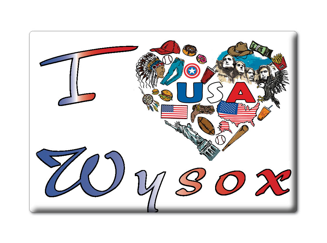 Wysox, Bradford County, Pennsylvania - Fridge Magnet I Love Souvenir Usa - Foto 8 di 10