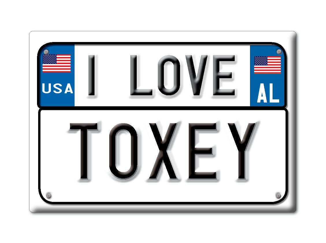 Toxey, Choctaw County, Alabama - Fridge Magnet I Love Souvenir Usa Gift Idea - Picture 9 of 10