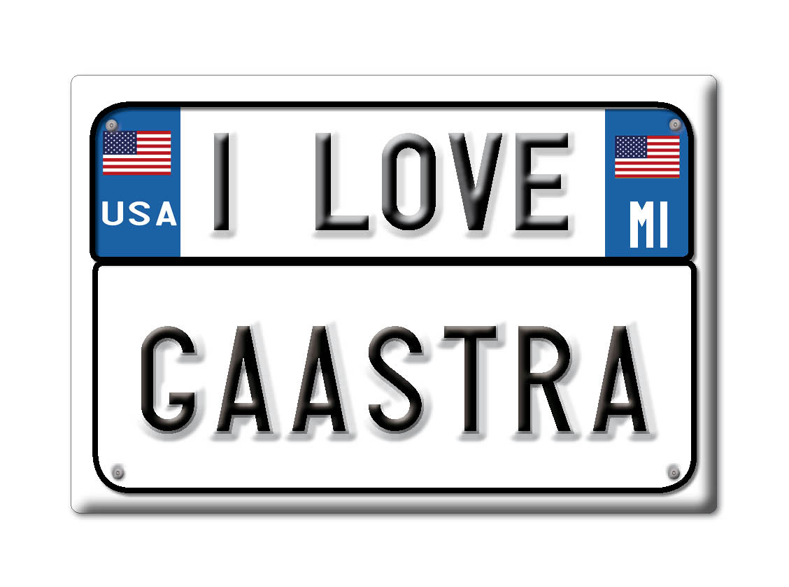Gaastra, Iron County, Michigan - Fridge Magnet I Love Souvenir Usa Gift Idea - Picture 9 of 10